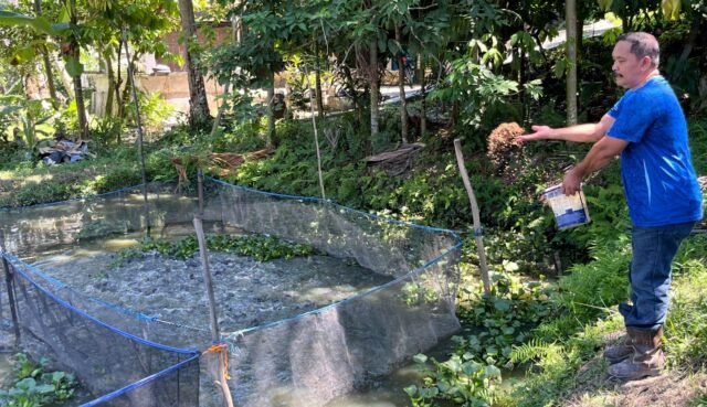 Warga Minas Rajut Kemandirian Ekonomi Lewat Budidaya Lele