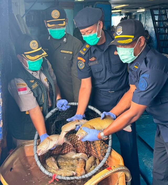 Lolos Pemeriksaan Karantina, 10.362 Ekor Ikan Asal Natuna Diekspor Lagi ke Hongkong