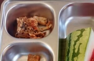 MBG Cot Rheue Disorot, Guru dan Wali Murid Keluhkan Kualitas Menu untuk Siswa