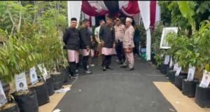 Pernikahan Putri Ketua DPRK Aceh Utara Dukung Gerakan Go Green, Kapolres Lhokseumawe Ucapan Selamat Diganti Bibit Pohon