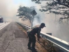 Babinsa dan Warga Bergerak Cepat, Kebakaran Lahan Dekat Tol Cipali Berhasil Dipadamkan