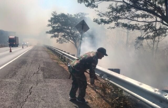 Babinsa dan Warga Bergerak Cepat, Kebakaran Lahan Dekat Tol Cipali Berhasil Dipadamkan