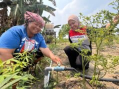 Atasi Krisis Air Musim Kemarau, PHR Hadirkan Irigasi Tetes untuk Petani Perawang