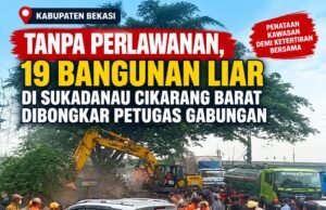 Tanpa Perlawanan, Sembilan Belas Bangunan Liar di Sukadanau Cikarang Barat Dibongkar Petugas Gabungan